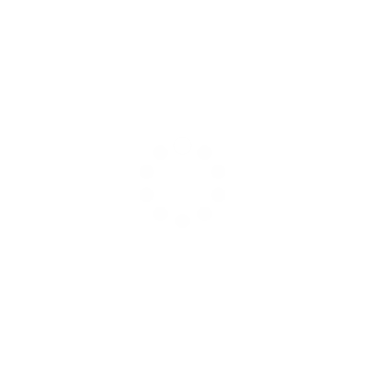 Terra Infirma